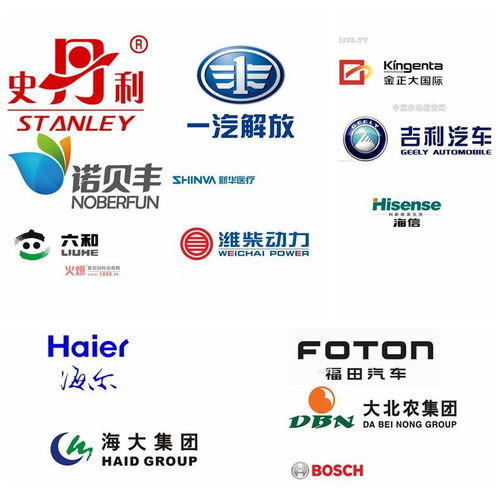 青島德瑪爾 專注機器人技術服務，引領智能化未來